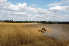 Mähdrescher & Landschaft