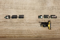 Ernteflotte von oben