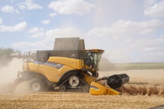 Mähdrescher Nahaufnahme